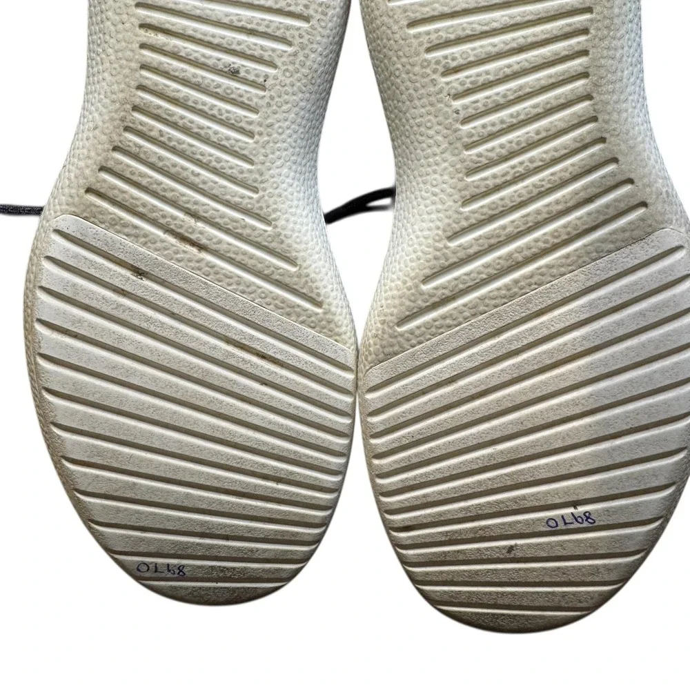 allbirds brand model